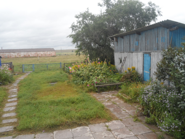 SAM_3126 (700x525, 389Kb)