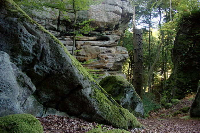 2714816_1024pxMuellerthal (700x465, 111Kb)