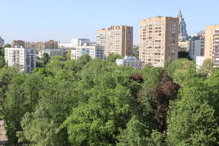 IMG_4564 (700x467, 289Kb)