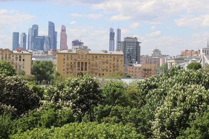 IMG_5599 (700x467, 311Kb)