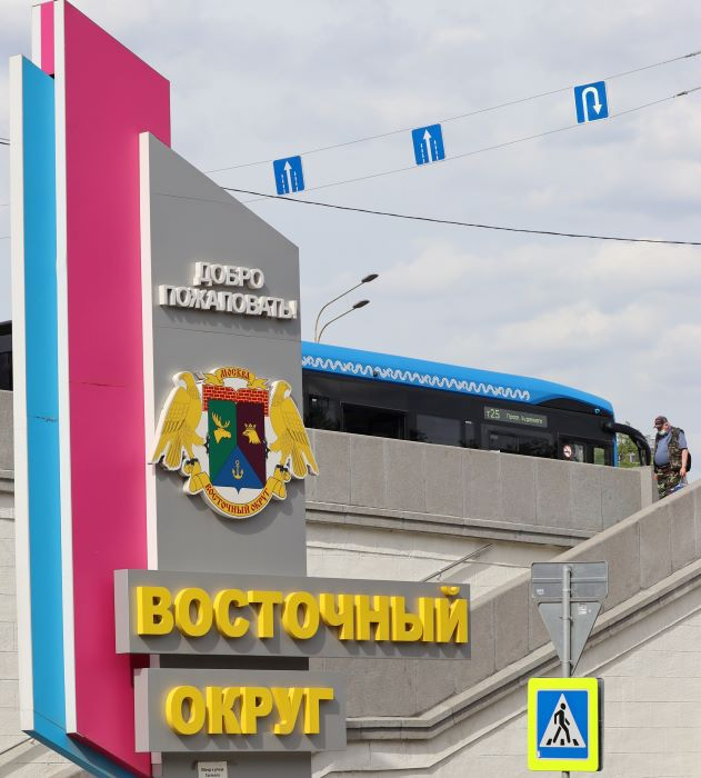 IMG_5958 (2) (631x700, 224Kb)