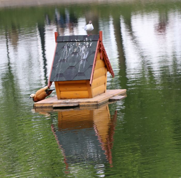 IMG_6374 (2) (700x688, 283Kb)