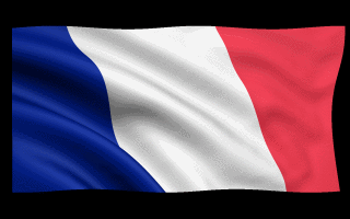 france-flag-waving-animated-gif-5 (320x200, 633Kb)