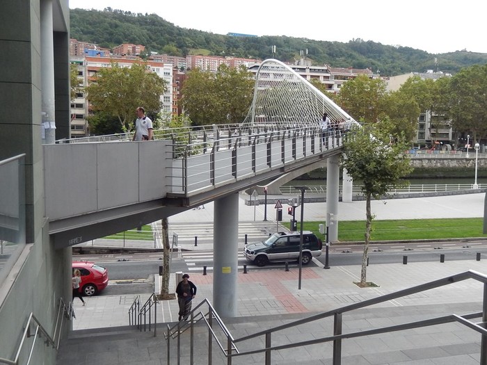 5322303_DSCN8478 (700x525, 110Kb)