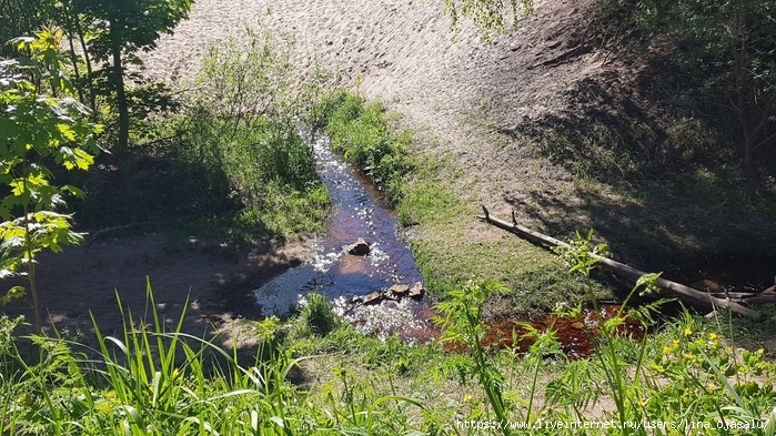 2714816_20210530_162452 (700x393, 335Kb)