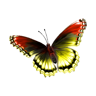 135751054_3 (400x400, 110Kb)