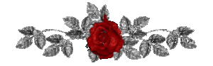2714816_15 (300x93, 10Kb)