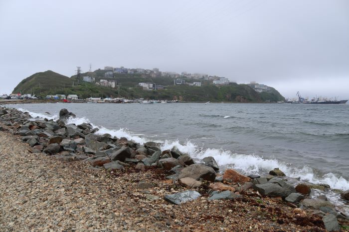 IMG_7288 (700x467, 196Kb)