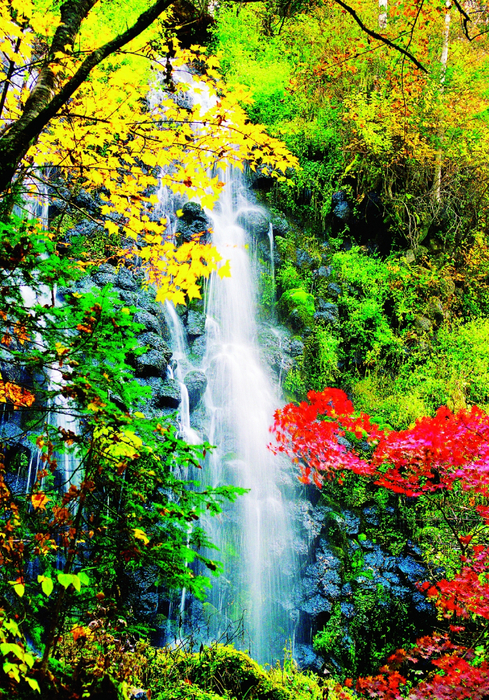 7f9f2a8c-68f5-473b-be67-c6ff58a6d931 (489x700, 786Kb)