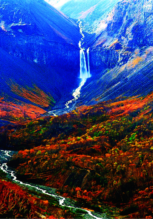 d71fa64c-1a9c-45aa-8241-ce975bb0620a (489x700, 677Kb)
