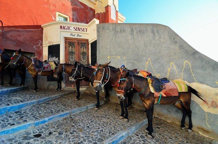2714816_ostrovsantorini_72 (700x463, 93Kb)