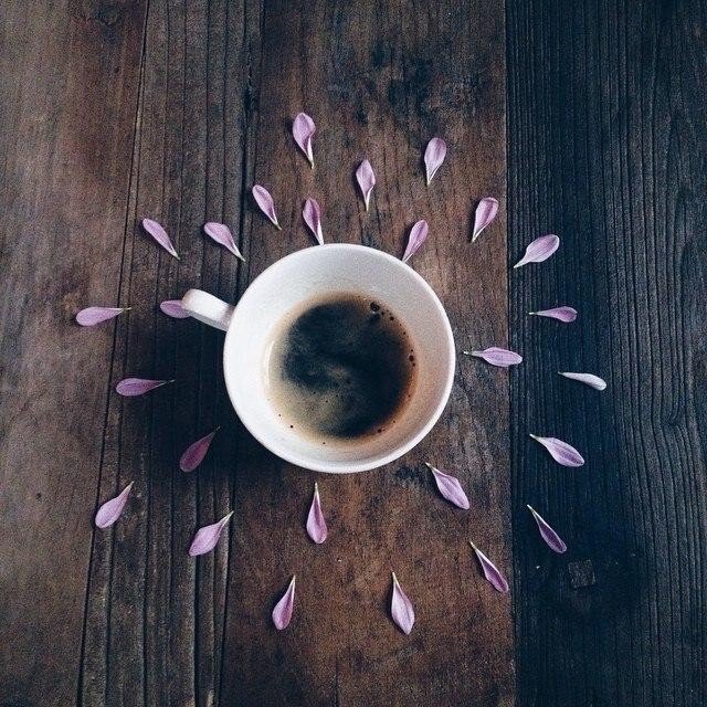 IMG_0523 (640x640, 196Kb)