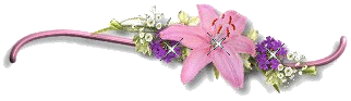 разделитель розовый 2 (322x93, 12Kb)