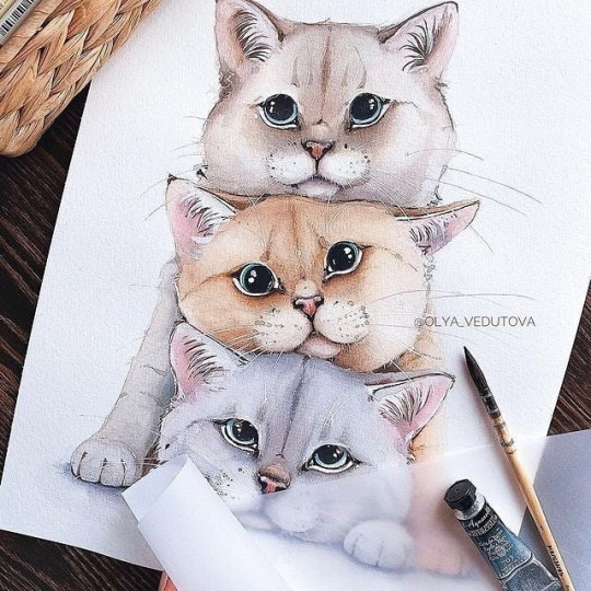 акварельные котики 12 (540x540, 294Kb)