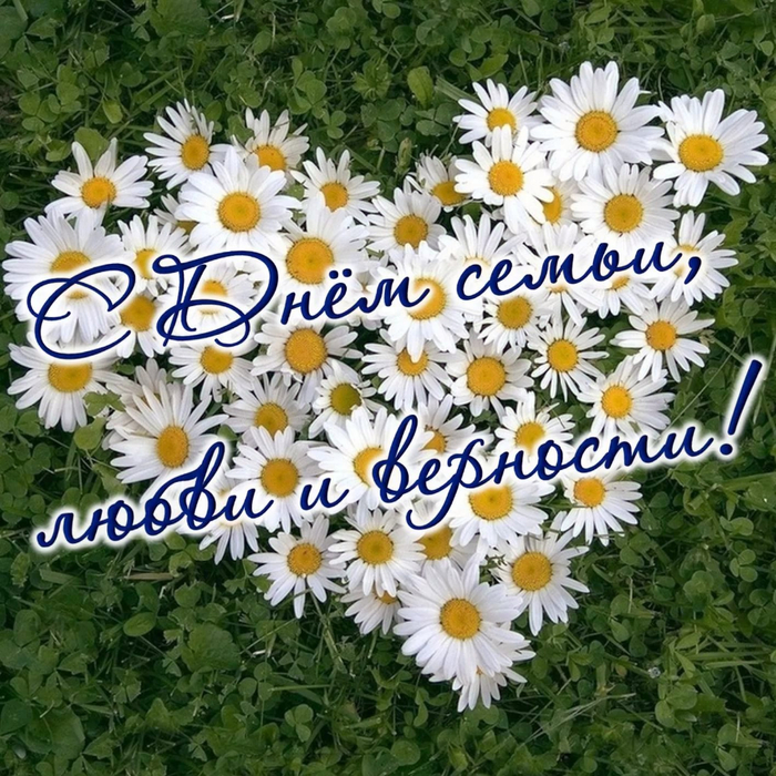 с днем семьи львы. Смотреть фото с днем семьи львы. Смотреть картинку с днем семьи львы. Картинка про с днем семьи львы. Фото с днем семьи львы