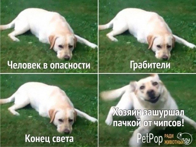 5672049_fullsize (640x479, 63Kb)