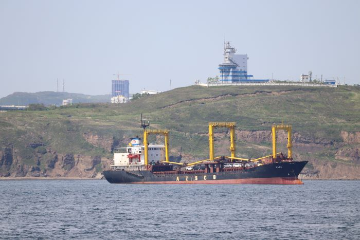 IMG_0379 (700x467, 166Kb)