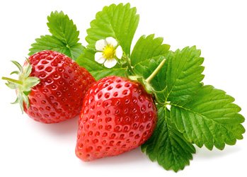 strawberry (1) (349x250, 20Kb)