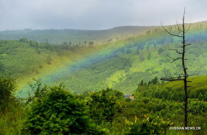 1310063149_16263395414881n (700x457, 342Kb)