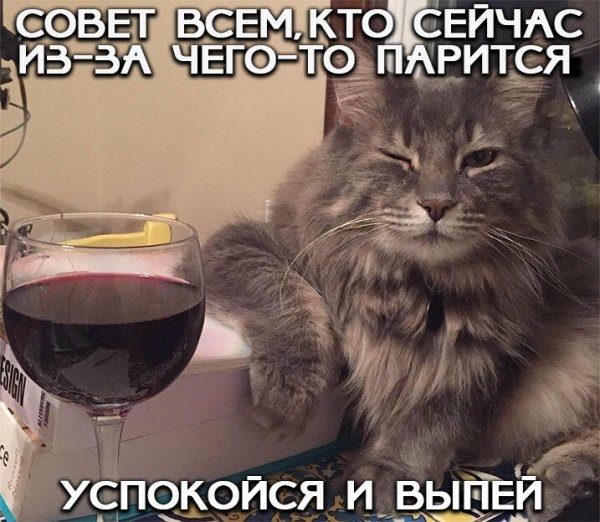 5672049_a375326f75 (600x522, 71Kb)