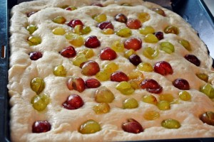 2835299_Toskanskii_pirog_s_vinogradom9 (300x200, 26Kb)