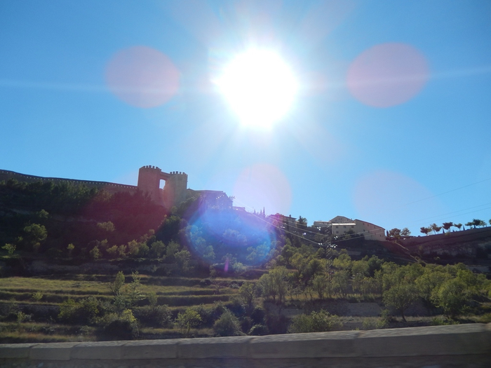 DSCN8874 (700x525, 282Kb)