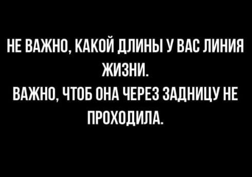 5672049_222550722_1210561202740040_4965014617808910119_n (490x345, 11Kb)
