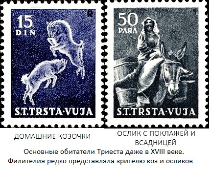 Domestic-Goat-Capra-aegagrus-hircus (433x350, 109Kb)