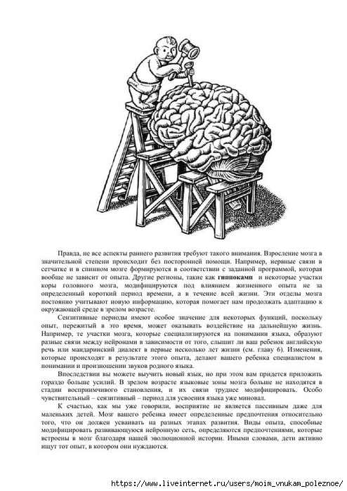 S_Amodt_S_Vong_Kak_razvit_mozg_rebyonka_chtoby_on_stal_umnym_i_uspeshnym_39 (494x700, 219Kb)