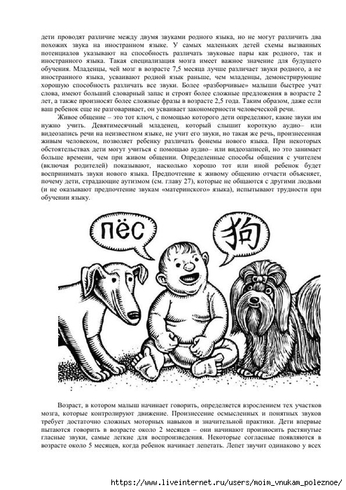 S_Amodt_S_Vong_Kak_razvit_mozg_rebyonka_chtoby_on_stal_umnym_i_uspeshnym_45 (494x700, 259Kb)