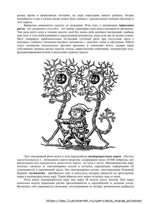 S_Amodt_S_Vong_Kak_razvit_mozg_rebyonka_chtoby_on_stal_umnym_i_uspeshnym_49 (494x700, 225Kb)