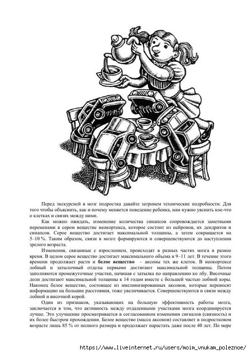 S_Amodt_S_Vong_Kak_razvit_mozg_rebyonka_chtoby_on_stal_umnym_i_uspeshnym_63 (494x700, 226Kb)