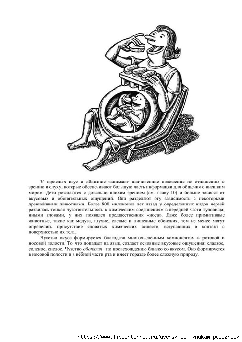S_Amodt_S_Vong_Kak_razvit_mozg_rebyonka_chtoby_on_stal_umnym_i_uspeshnym_81 (494x700, 156Kb)