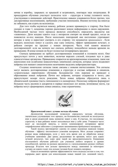 S_Amodt_S_Vong_Kak_razvit_mozg_rebyonka_chtoby_on_stal_umnym_i_uspeshnym_139 (494x700, 249Kb)