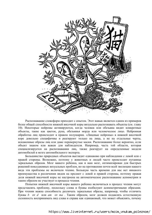 S_Amodt_S_Vong_Kak_razvit_mozg_rebyonka_chtoby_on_stal_umnym_i_uspeshnym_159 (494x700, 245Kb)