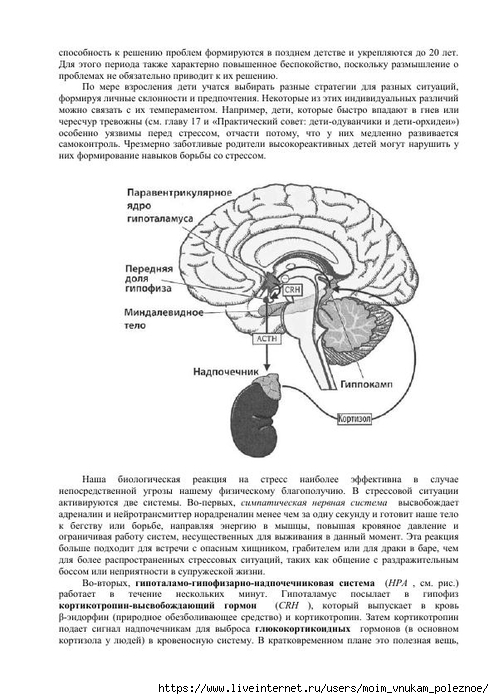 S_Amodt_S_Vong_Kak_razvit_mozg_rebyonka_chtoby_on_stal_umnym_i_uspeshnym_165 (494x700, 211Kb)