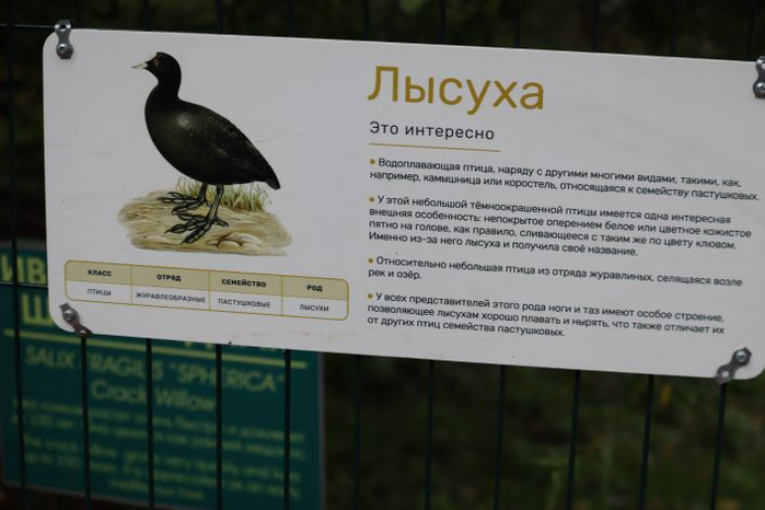 IMG_1100 (700x466, 220Kb)