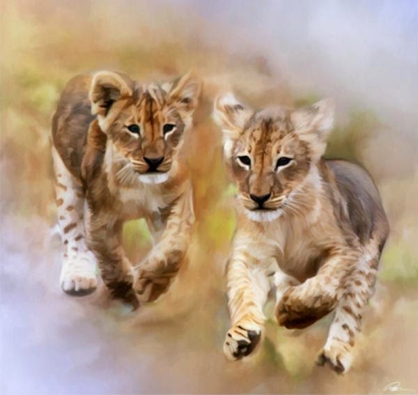 lion paintings by Paul Miners@fineartandyou1.1 (600x567, 38Kb)