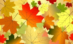 4536045_floralseamlessautumnpattern12469680_2 (250x151, 26Kb)