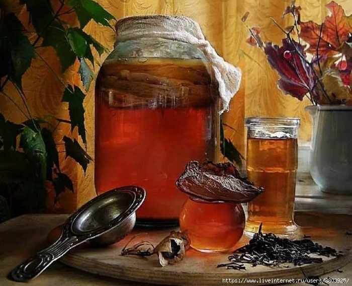 Как вырастить вкусный чайный гриб с нуля в домашних условиях