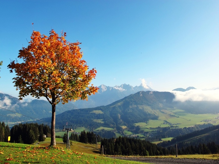 wandern-im-herbst-bergbahnen-noch-bis-19.oktober-geöffnetbergbahnen-fieberbrunn-tirol-herbst1 (900x725, 153Kb)