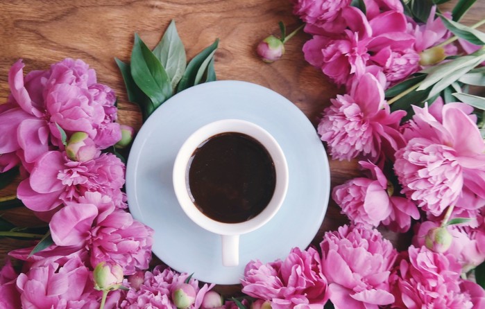 tsvety-rozovye-wood-pink-flowers-cup-piony-peonies-coffee-ch (700x446, 88Kb)