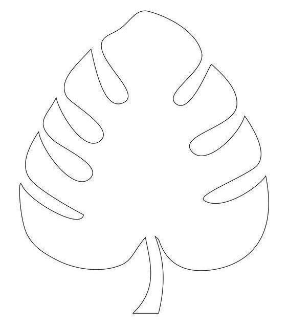 monstera_01b (563x637, 49Kb)