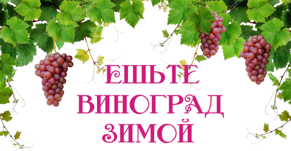 depositphotos_2285674-stock-photo-grapevine-border-with-pink-grapes (600x312, 236Kb)