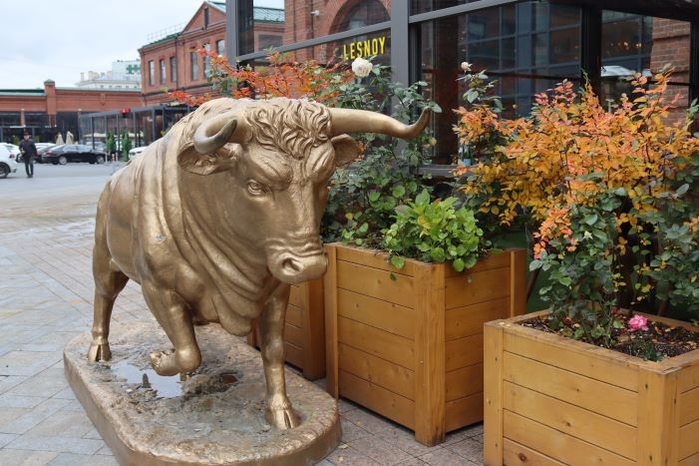 IMG_5461 (5) (700x466, 374Kb)