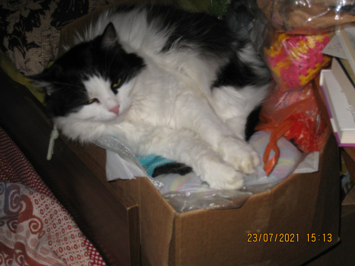 IMG_7908 (700x525, 384Kb)