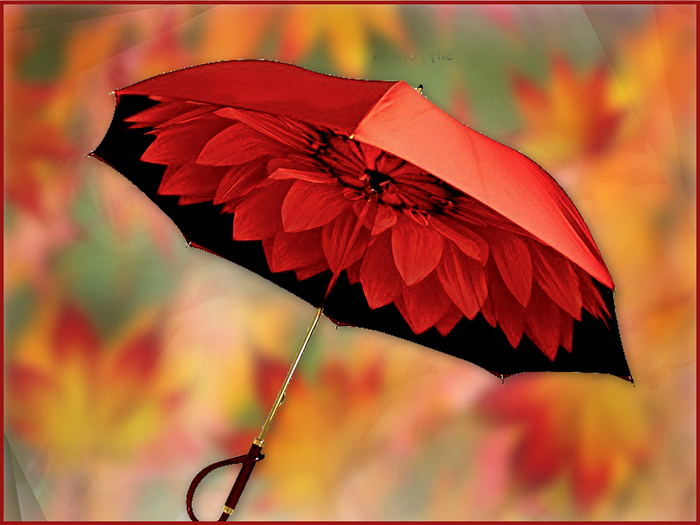 Зонт и осень
