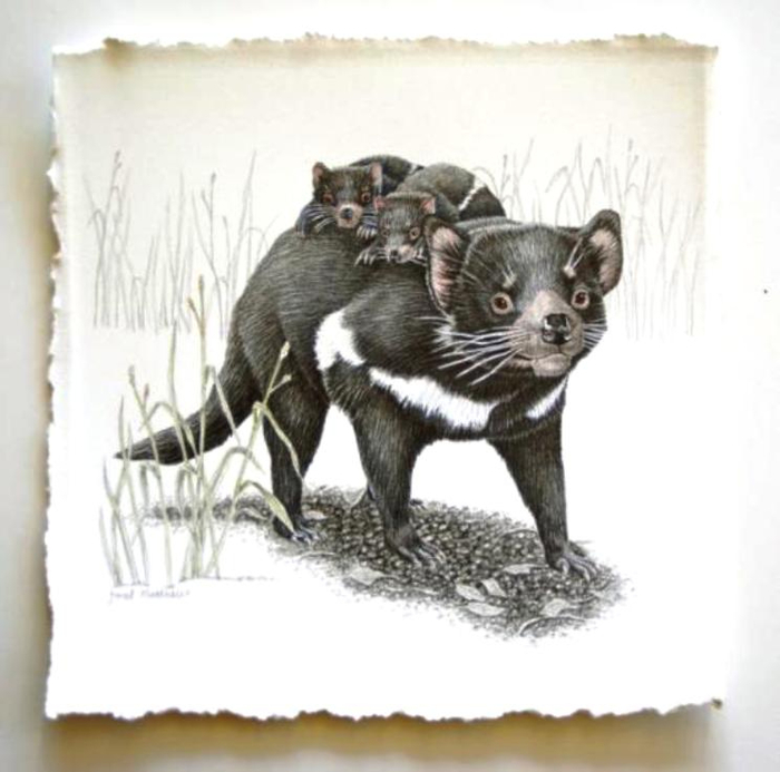 3aa (700x693, 250Kb)