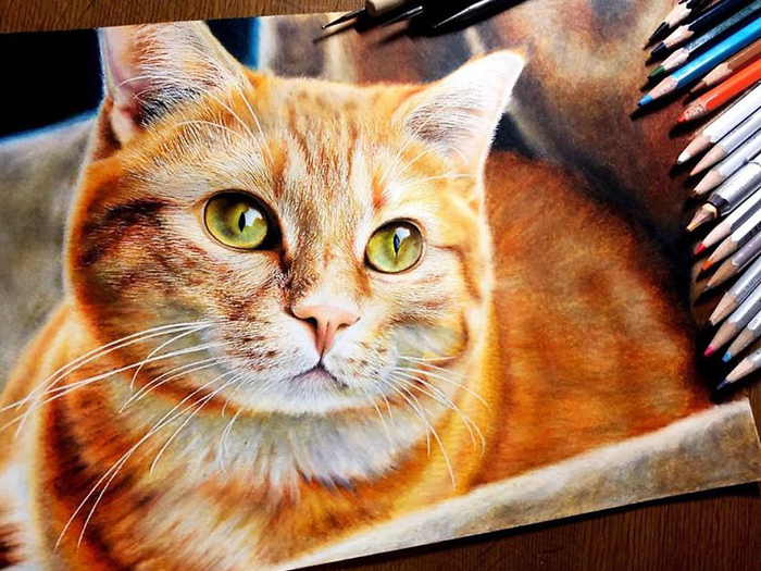 chats-realistes-dessins-artiste-haruki-kudo-04 (700x525, 479Kb)