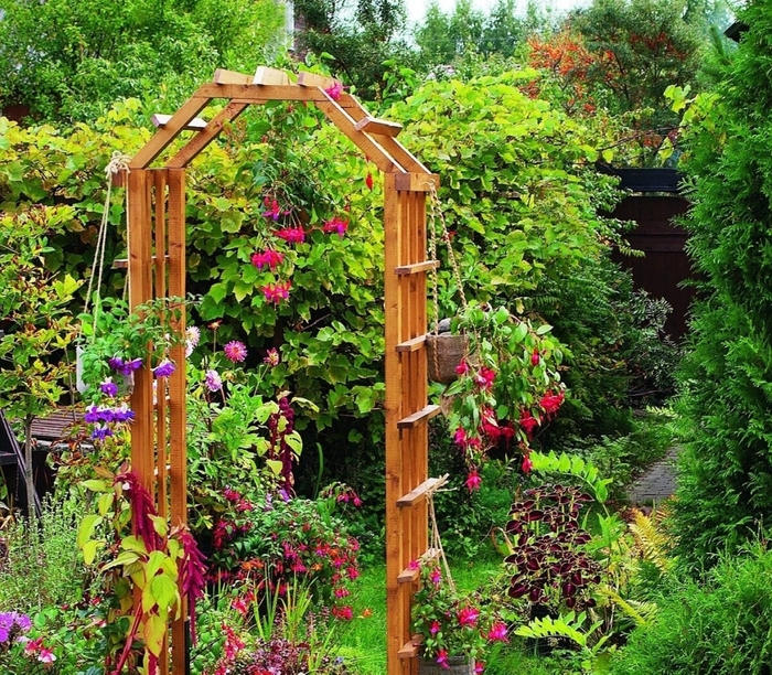 Как сделать садовые арки - идеи с фото - Лайфхаки для сада и огорода | Сегодня